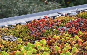 the cost of Melcombe Bingham green roof installation