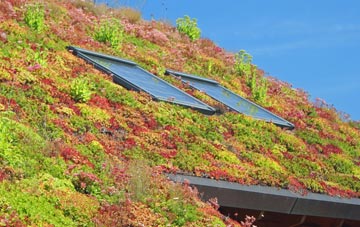Melcombe Bingham living roof systems