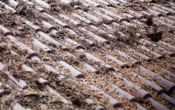 Melcombe Bingham roof cleaning companies