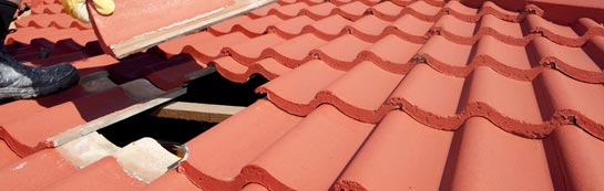 compare Melcombe Bingham roof repair quotes